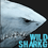 WildShark